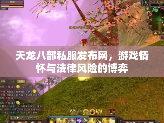 天龙八部私服发布网，游戏情怀与法律风险的博弈