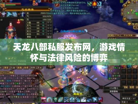 天龙八部私服发布网，游戏情怀与法律风险的博弈