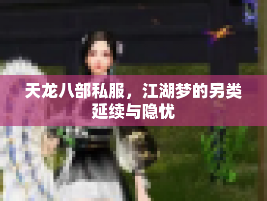 天龙八部私服，江湖梦的另类延续与隐忧