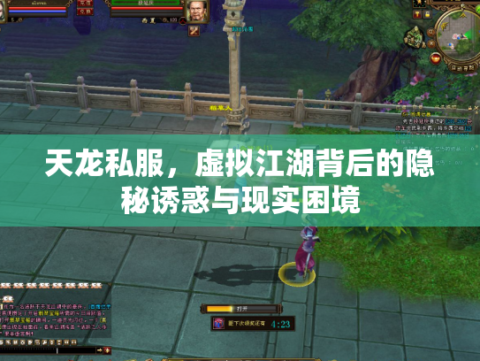 天龙私服，虚拟江湖背后的隐秘诱惑与现实困境
