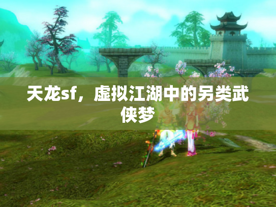 天龙sf，虚拟江湖中的另类武侠梦