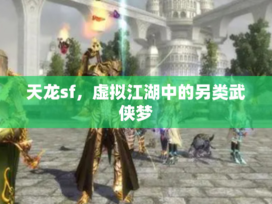 天龙sf，虚拟江湖中的另类武侠梦