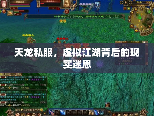 天龙私服，虚拟江湖背后的现实迷思