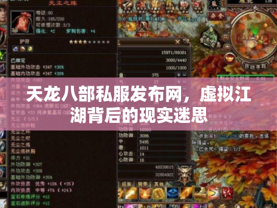 天龙八部私服发布网，虚拟江湖背后的现实迷思