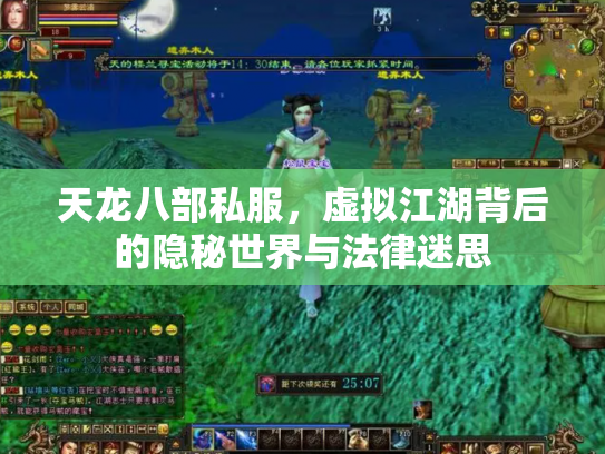 天龙八部私服，虚拟江湖背后的隐秘世界与法律迷思