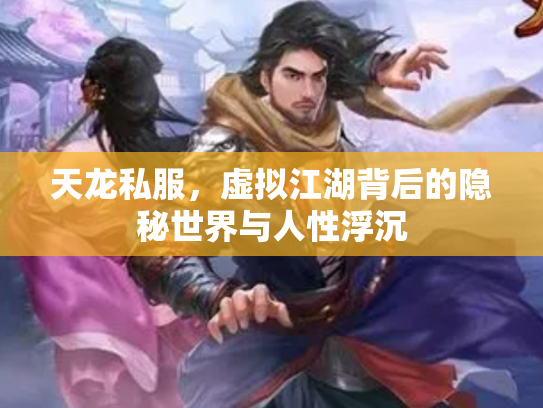 天龙私服，虚拟江湖背后的隐秘世界与人性浮沉