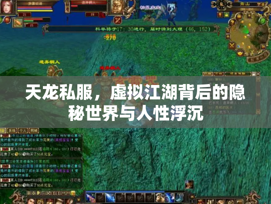 天龙私服，虚拟江湖背后的隐秘世界与人性浮沉