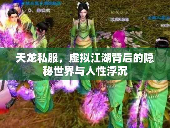天龙私服，虚拟江湖背后的隐秘世界与人性浮沉