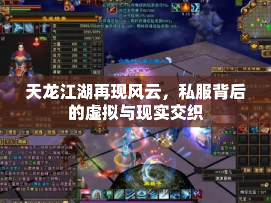 天龙江湖再现风云，私服背后的虚拟与现实交织