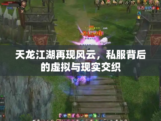 天龙江湖再现风云，私服背后的虚拟与现实交织