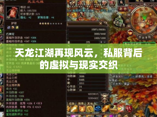 天龙江湖再现风云，私服背后的虚拟与现实交织