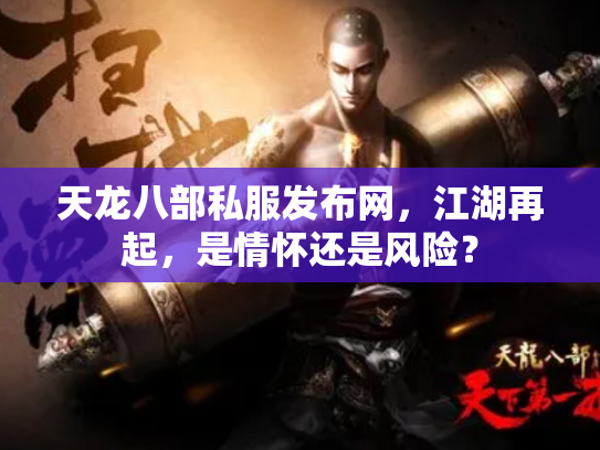 天龙八部私服发布网，江湖再起，是情怀还是风险？
