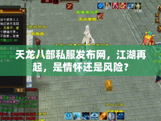 天龙八部私服发布网，江湖再起，是情怀还是风险？