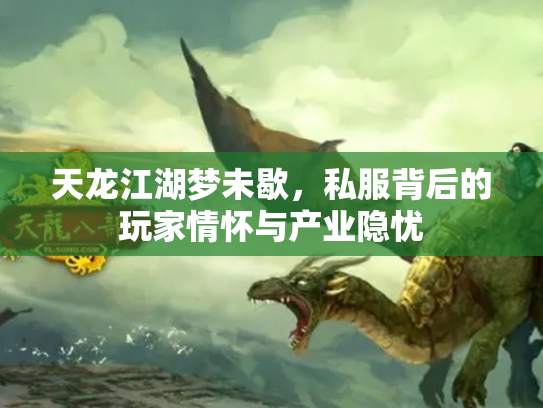 天龙江湖梦未歇，私服背后的玩家情怀与产业隐忧