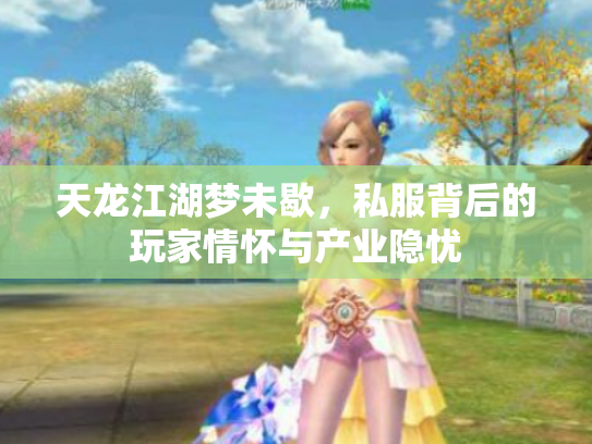 天龙江湖梦未歇，私服背后的玩家情怀与产业隐忧