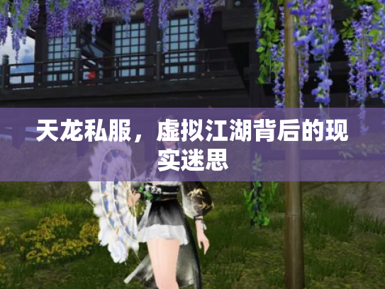 天龙私服，虚拟江湖背后的现实迷思