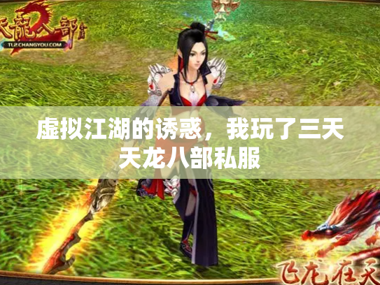 虚拟江湖的诱惑，我玩了三天天龙八部私服