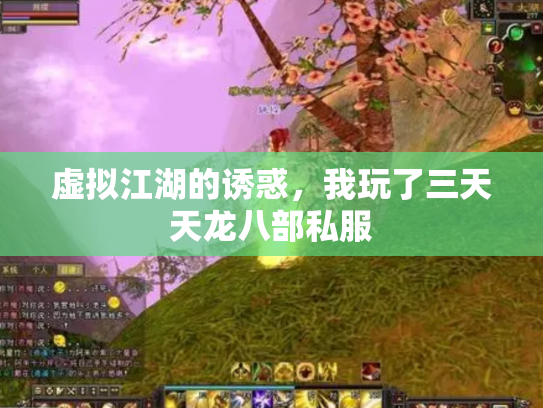 虚拟江湖的诱惑，我玩了三天天龙八部私服
