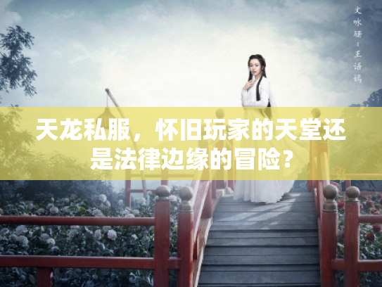 天龙私服，怀旧玩家的天堂还是法律边缘的冒险？