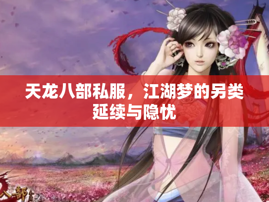天龙八部私服，江湖梦的另类延续与隐忧