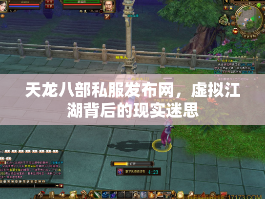 天龙八部私服发布网，虚拟江湖背后的现实迷思