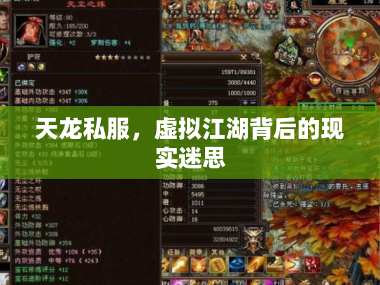 天龙私服，虚拟江湖背后的现实迷思