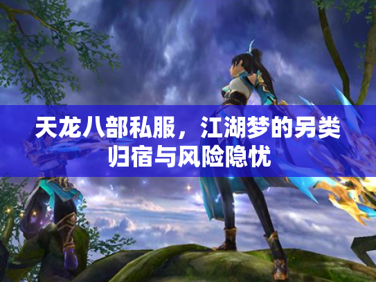 天龙八部私服，江湖梦的另类归宿与风险隐忧
