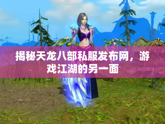 揭秘天龙八部私服发布网，游戏江湖的另一面