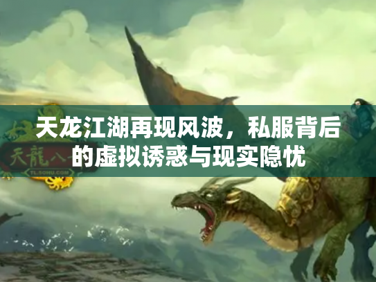 天龙江湖再现风波，私服背后的虚拟诱惑与现实隐忧