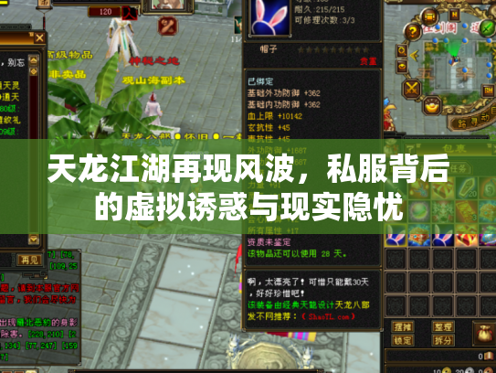 天龙江湖再现风波，私服背后的虚拟诱惑与现实隐忧
