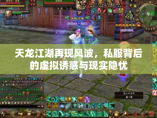 天龙江湖再现风波，私服背后的虚拟诱惑与现实隐忧