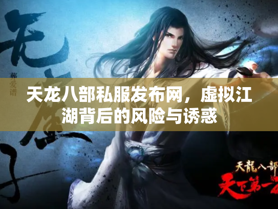 天龙八部私服发布网，虚拟江湖背后的风险与诱惑