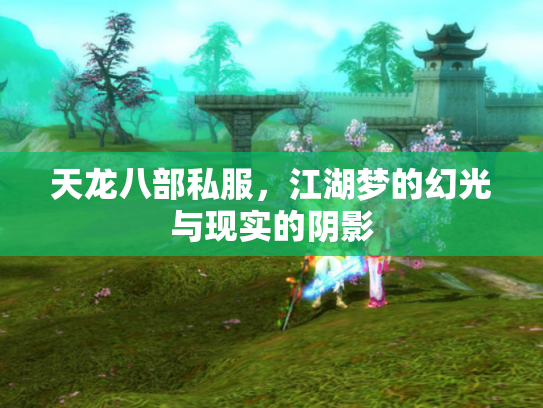 天龙八部私服，江湖梦的幻光与现实的阴影