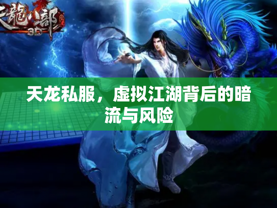天龙私服，虚拟江湖背后的暗流与风险