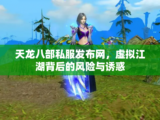 天龙八部私服发布网，虚拟江湖背后的风险与诱惑