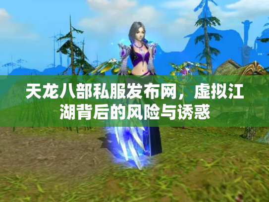 天龙八部私服发布网，虚拟江湖背后的风险与诱惑