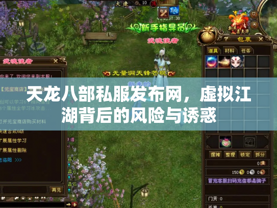 天龙八部私服发布网，虚拟江湖背后的风险与诱惑