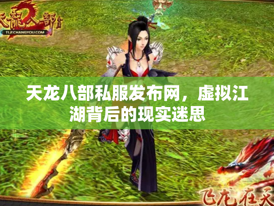 天龙八部私服发布网，虚拟江湖背后的现实迷思