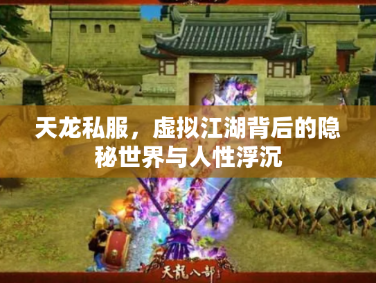 天龙私服，虚拟江湖背后的隐秘世界与人性浮沉