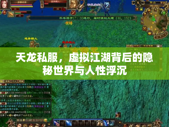 天龙私服，虚拟江湖背后的隐秘世界与人性浮沉