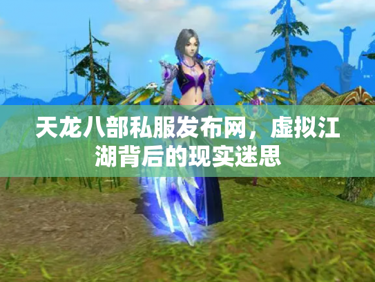 天龙八部私服发布网，虚拟江湖背后的现实迷思