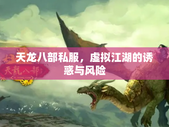 天龙八部私服，虚拟江湖的诱惑与风险