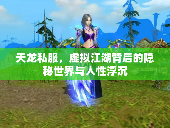 天龙私服，虚拟江湖背后的隐秘世界与人性浮沉