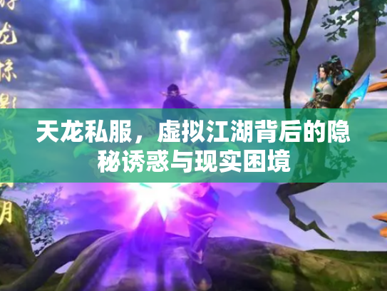 天龙私服，虚拟江湖背后的隐秘诱惑与现实困境