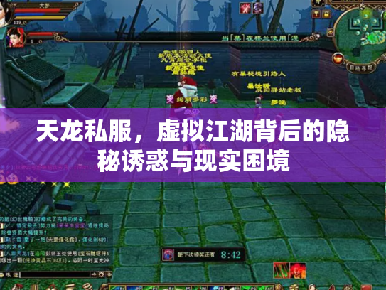 天龙私服，虚拟江湖背后的隐秘诱惑与现实困境