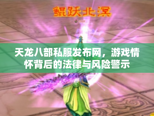 天龙八部私服发布网，游戏情怀背后的法律与风险警示