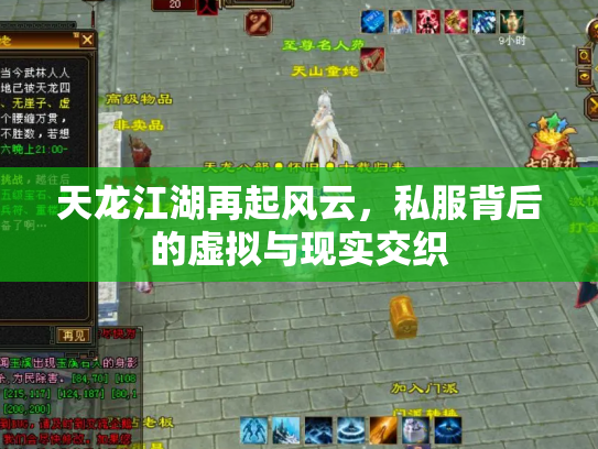 天龙江湖再起风云，私服背后的虚拟与现实交织