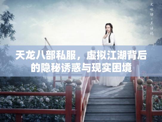 天龙八部私服，虚拟江湖背后的隐秘诱惑与现实困境