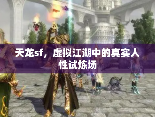 天龙sf，虚拟江湖中的真实人性试炼场