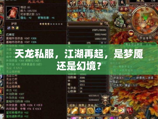 天龙私服，江湖再起，是梦魇还是幻境？
